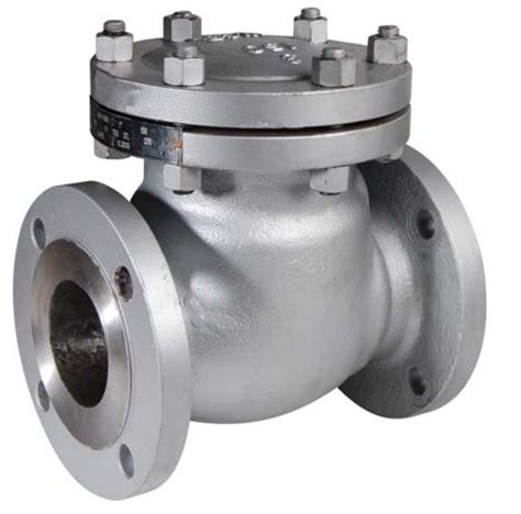 ATEX Approved Carbon Steel Swing Check Valve with Flanged ANSI Ends - AVS