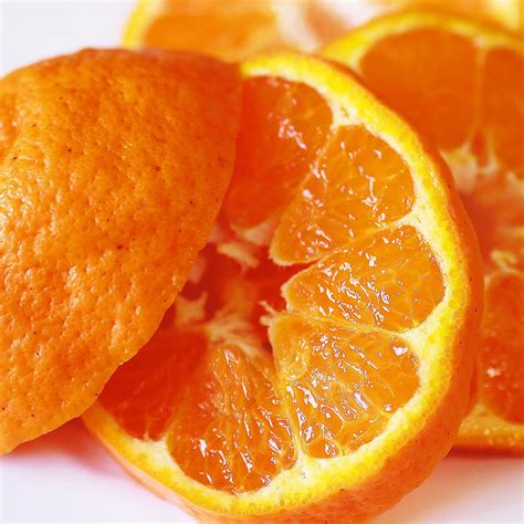 Japanese Ponkan Mandarin Orange — MomoBud