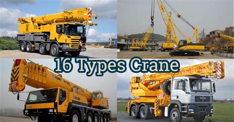 16 Types of Crane That You Know With His Function | CranePedia