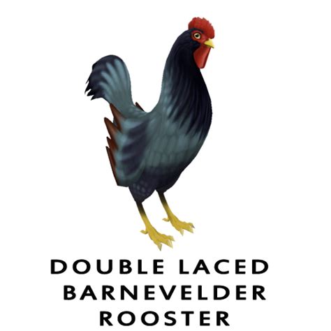 Second Life Marketplace - Amaretto Barnyard Nest: Double Laced Barnevelder Rooster