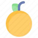 Drink, fresh, fruit, juice, orange icon - Download on Iconfinder