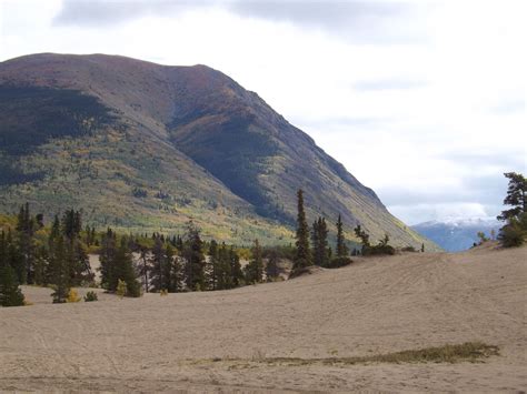 Carcross Desert, Carcross Desert, located outside Carcross, Yukon, Canada , is often considered ...