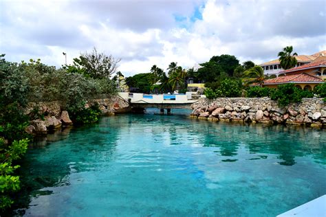 A Fun Day at Curacao Sea Aquarium – CLOSET FULL OF DREAMS