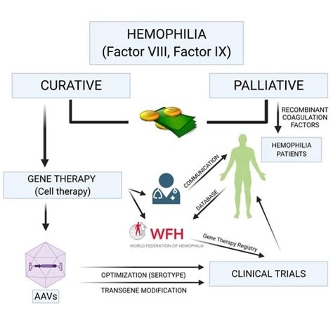 Different Types Of Hemophilia Diagram