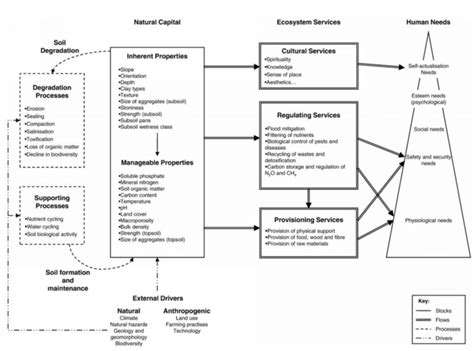 Framework for the provision of ecosystem services from soil natural ...