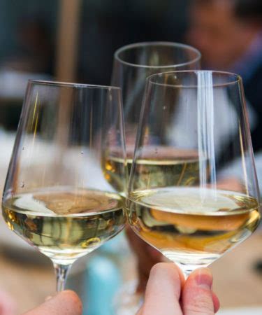 Mass Appeal: The 10 Most Popular Pinot Grigio Brands in the World ...