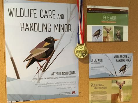 The Raptor Center: UMN Students Design for New Course