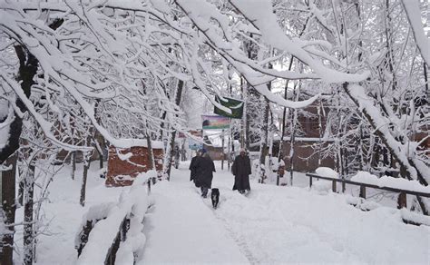 Photos: Fresh snowfall in Kashmir Valley; temperature drops further ...