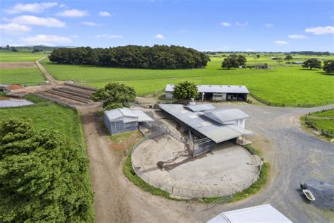 East Waikato dairy farm jewel for sale | Scoop News