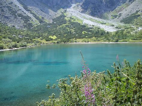 THE 10 BEST Hotels in Vysoke Tatry, Slovakia 2024 (from $55) - Tripadvisor