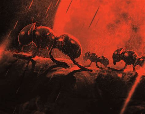 MARCHING ANTS on Behance