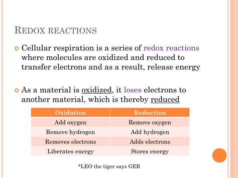 PPT - Cellular Respiration PowerPoint Presentation, free download - ID:2431040