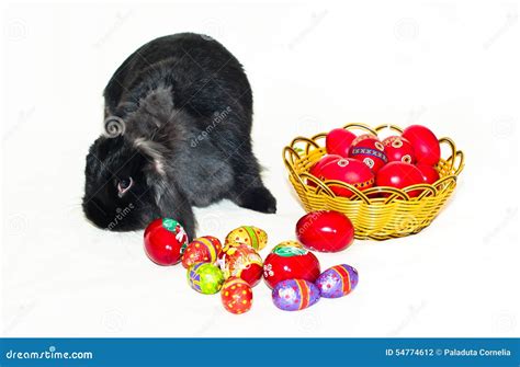 Rabbit with easter basket stock photo. Image of background - 54774612