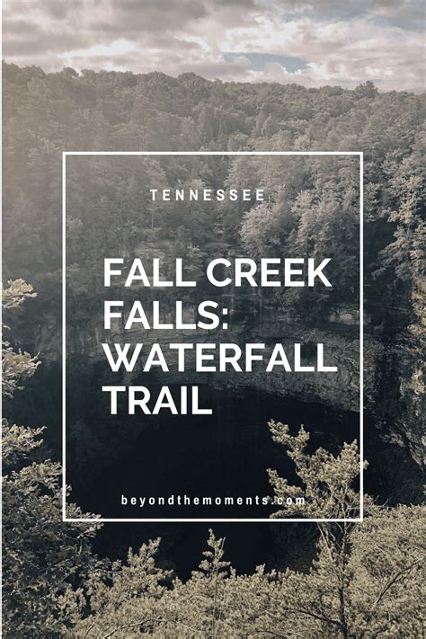 Hike to Fall Creek Falls Along Base of the Falls Trail