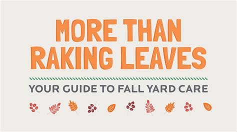 More Than Raking Leaves: Fall Yard Care Guide