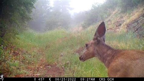 Roxborough State Park (@RoxStateParkCPW) / Twitter