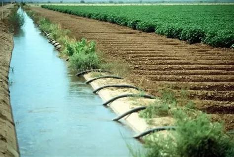 Egypt upgrades 2,017 km of irrigation canals - Farmers Review Africa