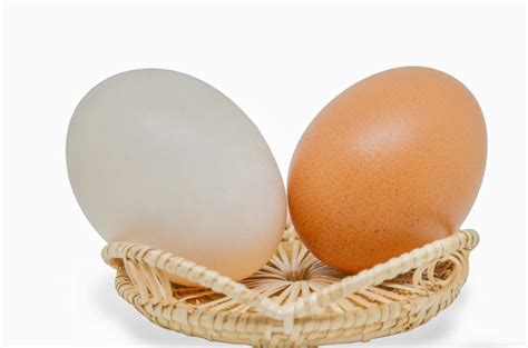 Brown Eggs v/s White Eggs - What’s the difference? | Fit Foodies Mantra