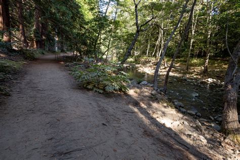 Buzzard's Roost Trail | Outdoor Project