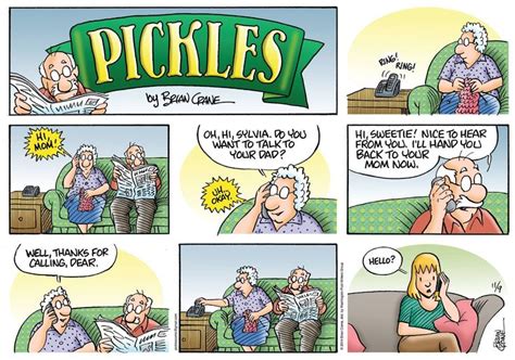 a comic strip about picking pickles with an older woman sitting on the couch talking to her friend