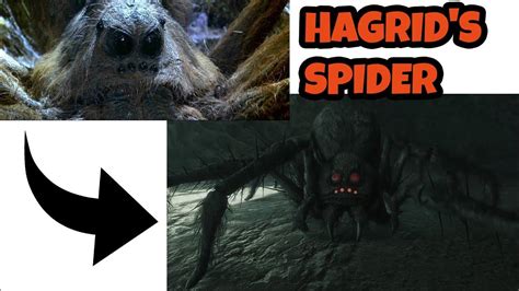 Hagrid's Spider ARAGOG in Hogwarts Legacy | EASTER EGGS - YouTube