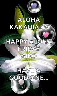 Aloha Friday GIFs | Tenor