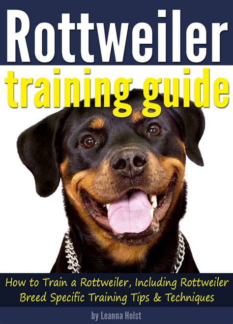 "Rottweiler Training Guide: How to Train a Rottweiler, Including ...