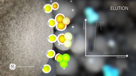 Principle of Hydrophobic Interaction Chromatography - YouTube