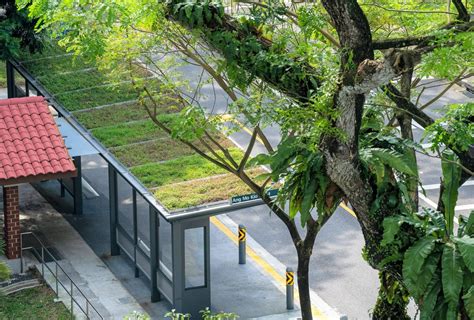 150 S'pore Bus Stops Will Have Green Roofs That Can Reportedly Reduce ...