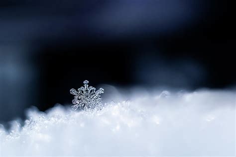 Snowflakes Close-up. Macro Photo. The Concept Of Winter Photograph by ...