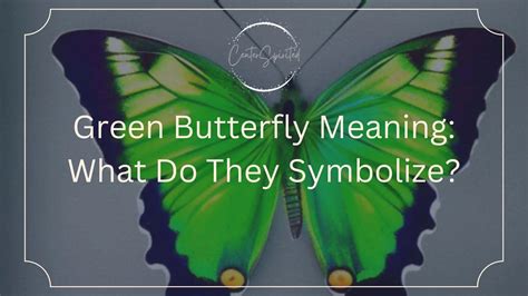 Green Butterfly Meaning: What Do They Symbolize?