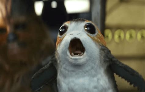 Star Wars': These people on Twitter want to eat Porgs - here's why