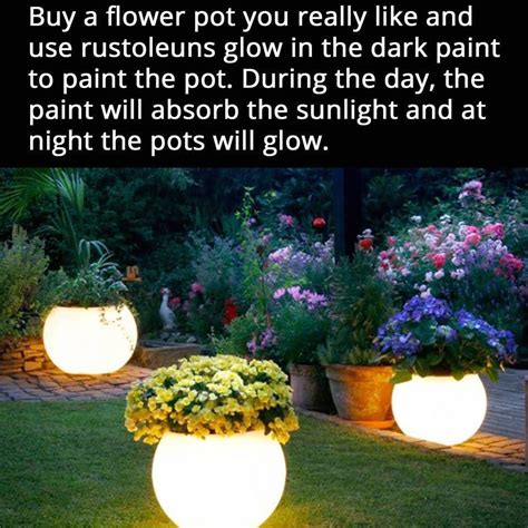 Glow in the dark flower pots | Backyard garden, Backyard, Diy garden