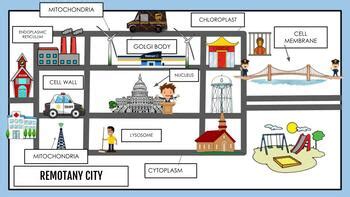 Cell City Project by Life Science for Middles by K | TPT