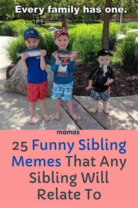 25 Funny Sibling Memes Any Brother Or Sister Will Relate To | Sibling memes, Siblings funny ...