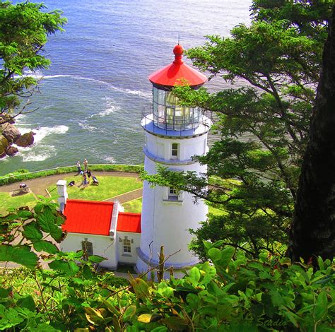 Heceta Head from Above | The lighthouse at Heceta Head from … | Flickr