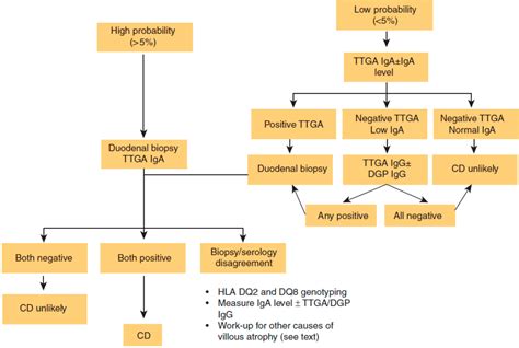 Diseases | Free Full-Text | Celiac Disease: Diagnostic Standards and Dilemmas