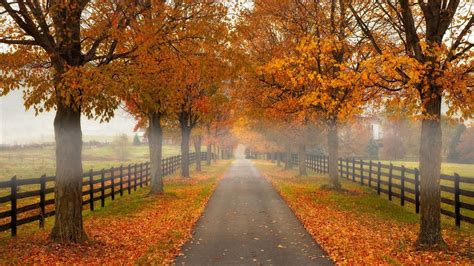 63 Fall Season Quotes - Best Sayings About Autumn