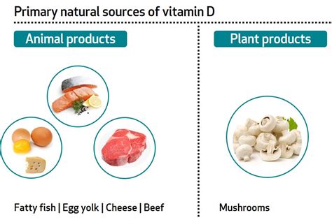 Vitamin D Sources Vegetarian | Natural Sources Of Calcium