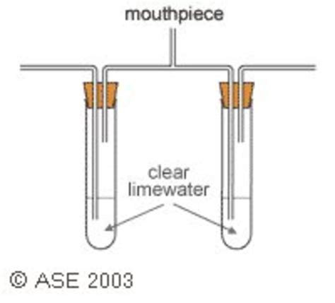 Carbon Dioxide Experiment | Teaching Resources