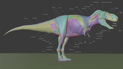 Behind the Scenes: Tyrannosaurus rex Life Reconstruction - BlenderNation