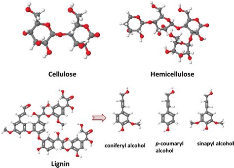 Molecular structure of wood biopolymers. | Download Scientific Diagram