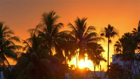 Miami Beach Sun Down in Stock Footage Video (100% Royalty-free ...