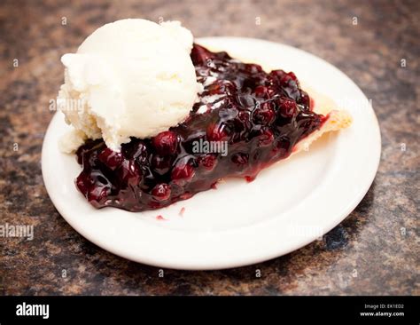 Saskatoon Berry Pie Canada - bmp-tips