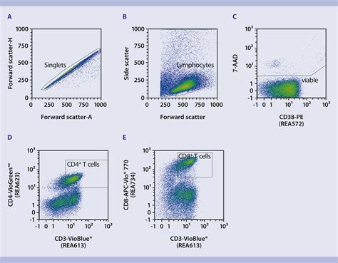 T cell activation | T cell differentiation | Miltenyi | Miltenyi Biotec | Österreich