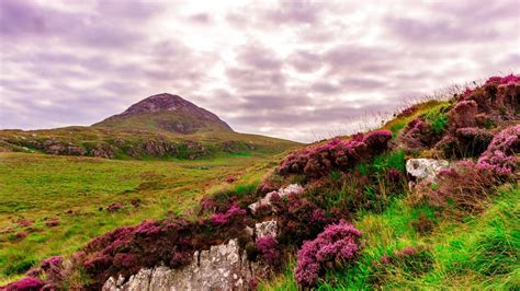 Walking Routes and Hikes in Connemara - Connemara Wild Escapes