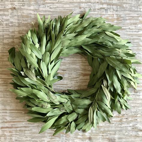 Fresh Bay Leaf Wreath | Wreaths, Leaf wreath, Fresh bay leaves