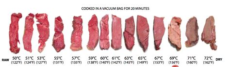 Beef Fillet Sous Vide Temperature - merfreikirchentage