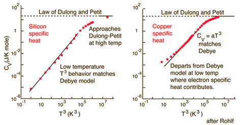 Lattice specific heat - Chenxing Luo