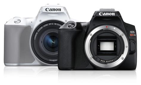 Canon Rebel SL3, the Lightest & Smallest EOS DSLR Camera Yet | Adorama